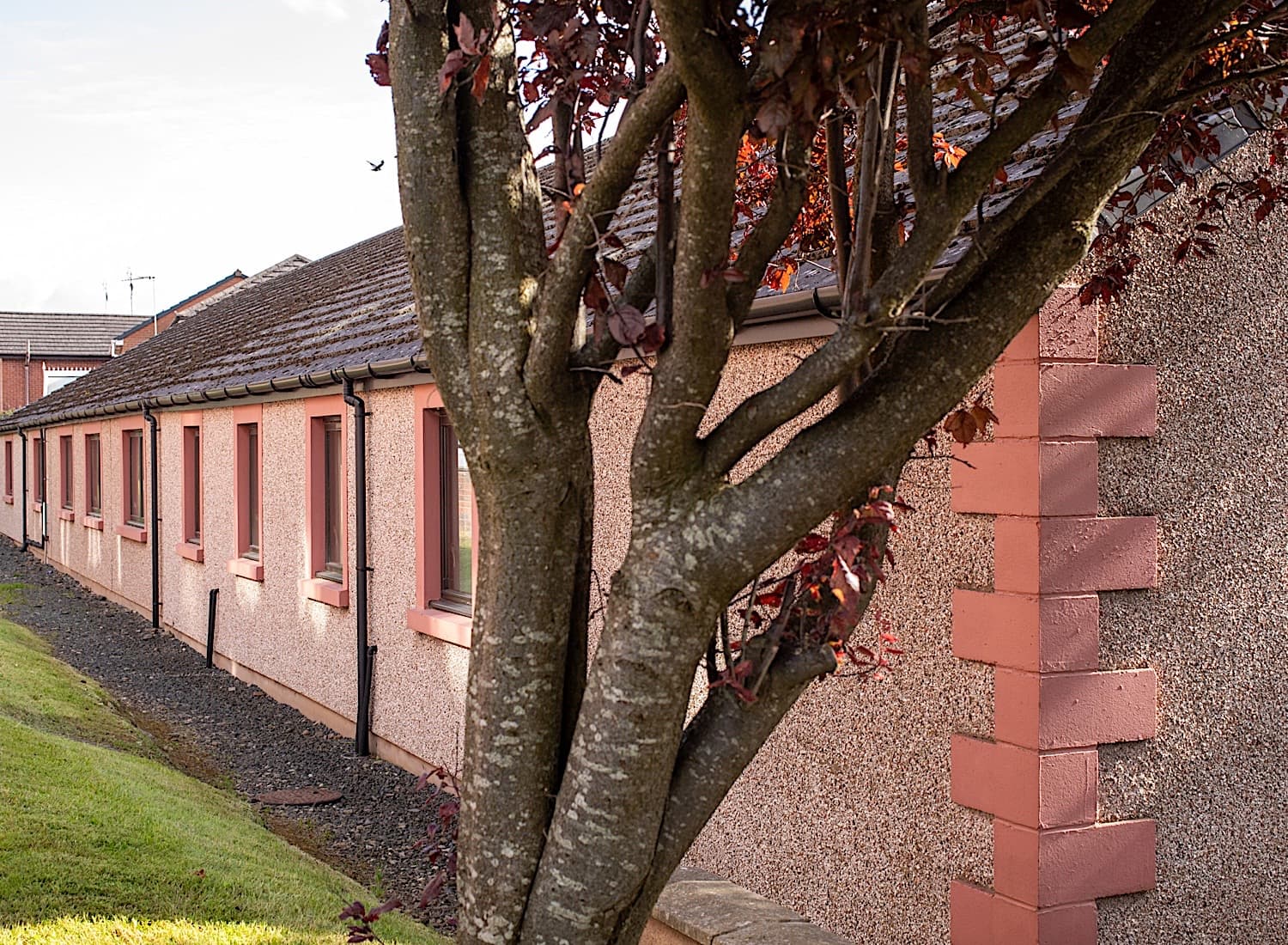Shared meeting and breakout area